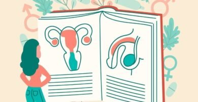 Ilustración educativa de los órganos sexuales femeninos y masculinos en un libro abierto